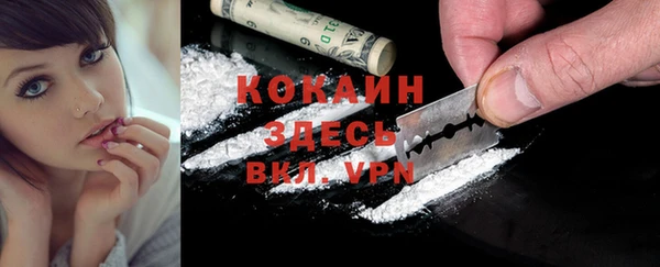круглые Пересвет