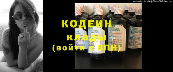 круглые Пересвет