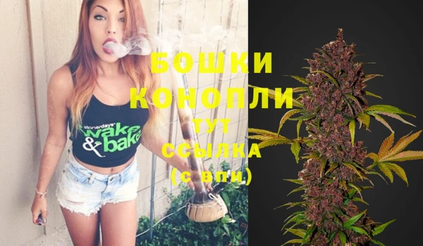 круглые Пересвет