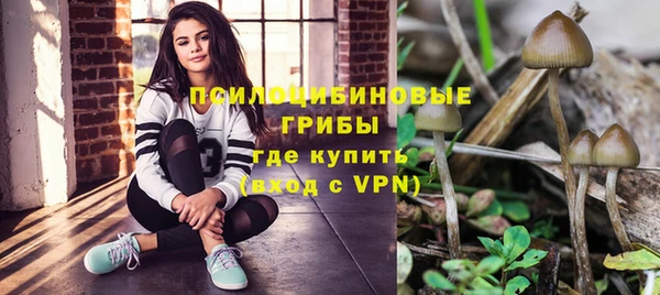 круглые Пересвет