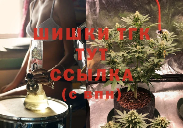 круглые Пересвет